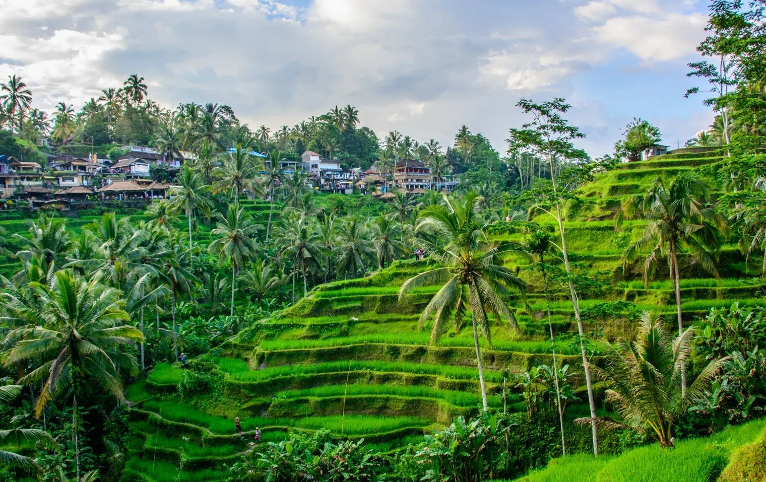 Discover Ubud