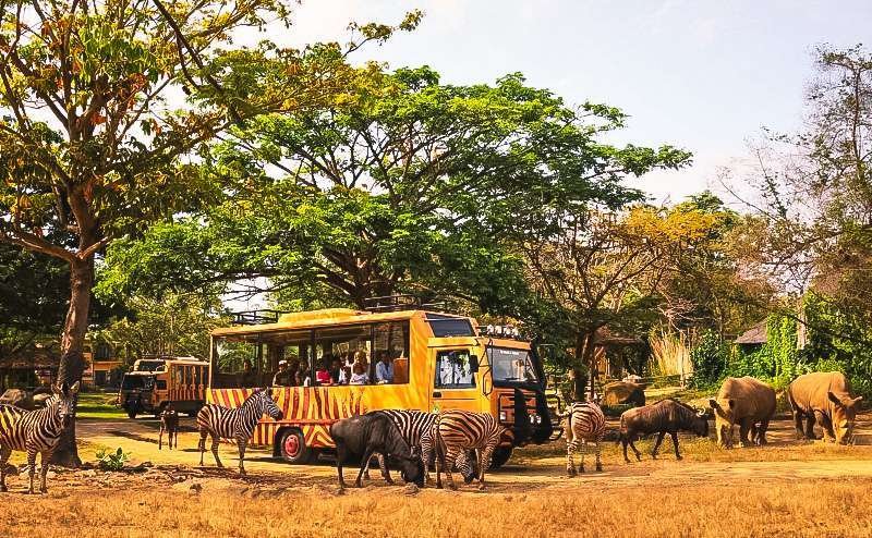 Safari Park