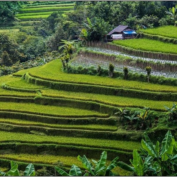 Local Experiences