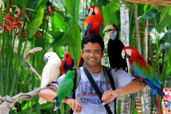Bird & Reptile Park